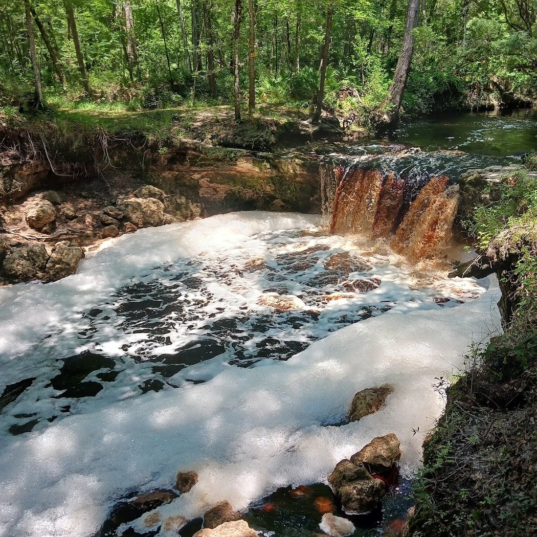Falling Creek Falls 1
